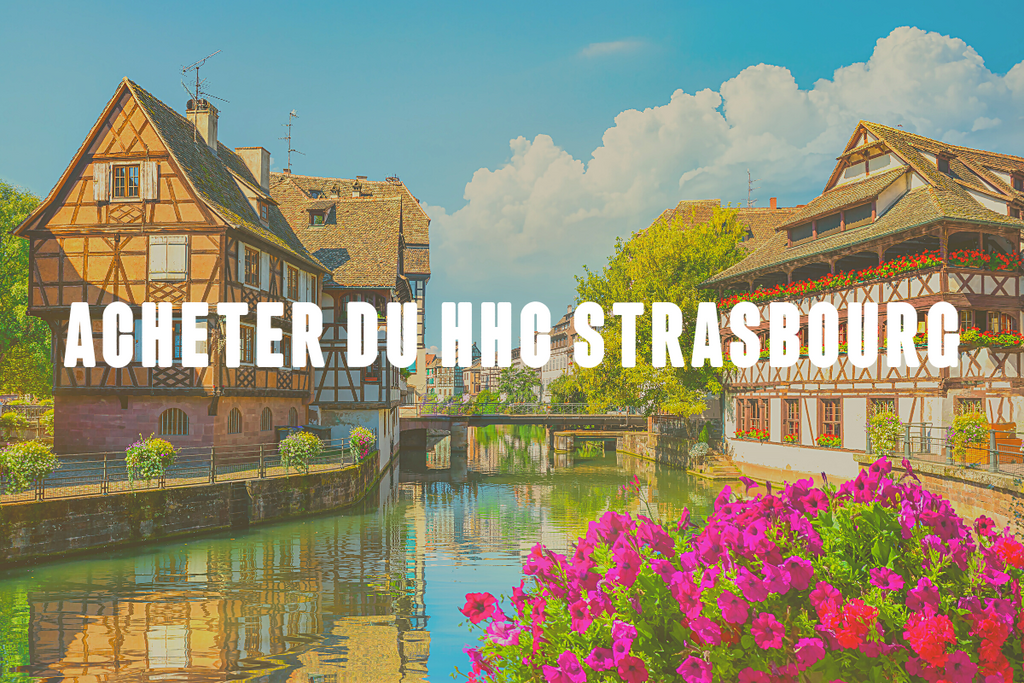 Oú acheter des fleurs HHC à Strasbourg ?