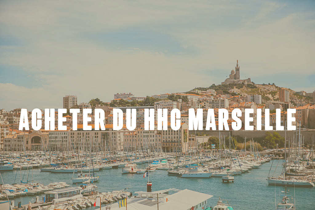 Où acheter des fleurs HHC à Marseille ?