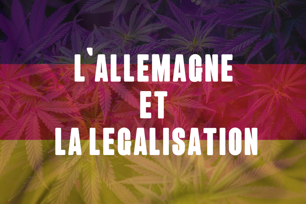 Légalisation du cannabis en Allemagne : projet de loi